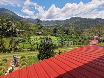 CASA CAMPESTRE en VENTA en Chinácota Vereda Cineral