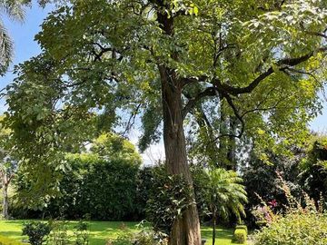 SE VENDE CASA EN Acapantzingo, Cuernavaca, Morelos, México