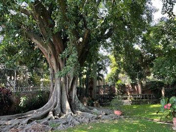 SE VENDE CASA EN Acapantzingo, Cuernavaca, Morelos, México