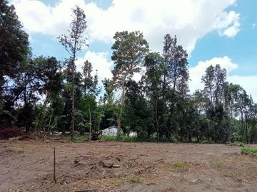 RUMAH DI LINGKUNGAN ASRI DI UTARA PRAMBANAN MODEL STUDIO BISA KPR