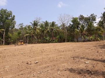 Tanah Kupon Progo, Dekat Pasar Krembangan: 1 Jt-An