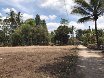 HANYA 2 JT-AN, TANAH MURAH SLEMAN DEKAT PASAR JANGKANG