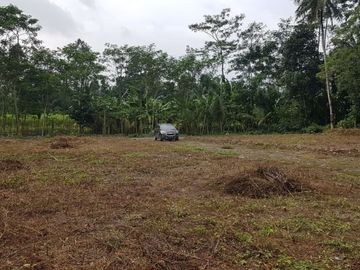 HANYA 2 JT-AN, TANAH MURAH SLEMAN DEKAT PASAR JANGKANG