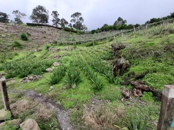finca en venta en mesitas del colegio. Cod V11165