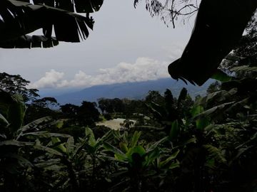 finca en venta en mesitas del colegio. Cod V11165