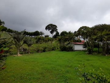 finca en venta en mesitas del colegio. Cod V11165