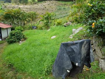 finca en venta en mesitas del colegio. Cod V11165