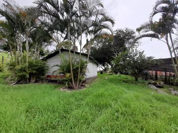 finca en venta en mesitas del colegio. Cod V11165