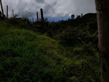 finca en venta en mesitas del colegio. Cod V11165