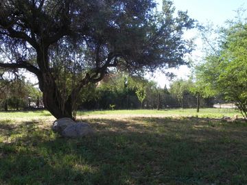 VENTA - Chalet - Barrio LAS MORERAS I