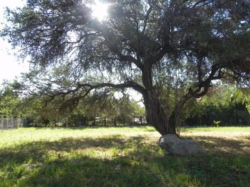 VENTA - Chalet - Barrio LAS MORERAS I