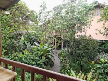 Hotel - Mindo