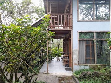 Hotel - Mindo