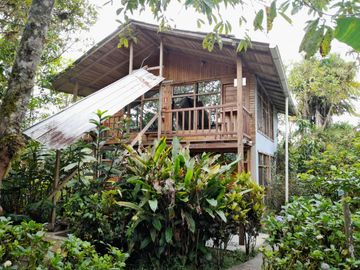 Hotel - Mindo