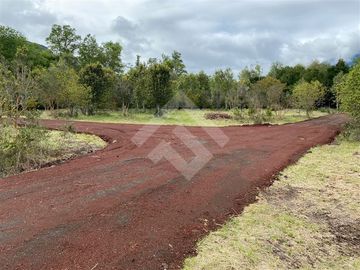 Parcela en Venta en Lago Ranco Rio Calcurrupe