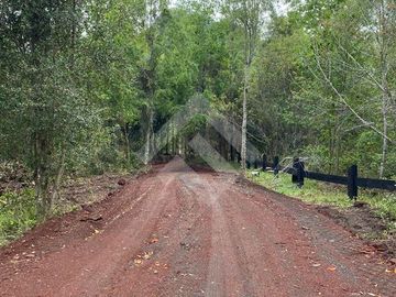 Parcela en Venta en Lago Ranco Rio Calcurrupe