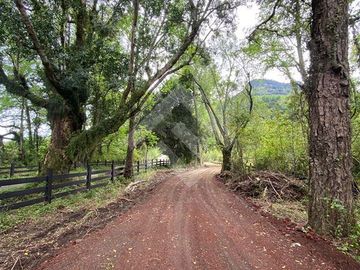 Parcela en Venta en Lago Ranco Rio Calcurrupe
