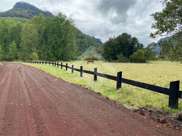 Parcela en Venta en Lago Ranco Rio Calcurrupe