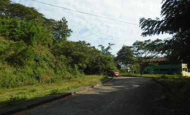 223 SQM Subdivision Lot for Sale in Greenwoods near Talamban Cebu City