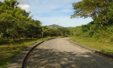223 SQM Subdivision Lot for Sale in Greenwoods near Talamban Cebu City