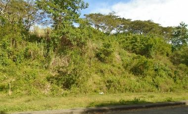 223 SQM Subdivision Lot for Sale in Greenwoods near Talamban Cebu City
