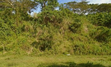 223 SQM Subdivision Lot for Sale in Greenwoods near Talamban Cebu City