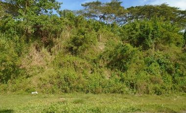 223 SQM Subdivision Lot for Sale in Greenwoods near Talamban Cebu City