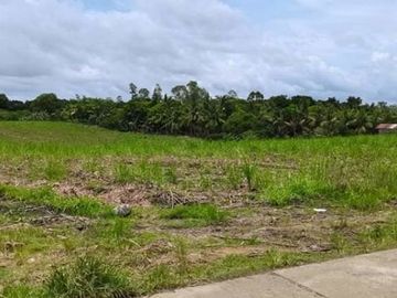 LOT FOR LEASE / SALE Victorias City Negros Occidental Phillipines