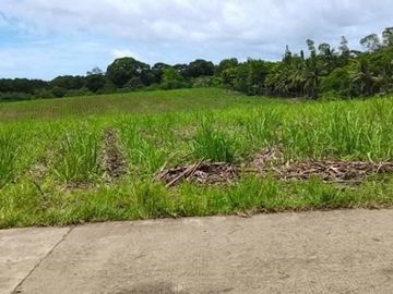 LOT FOR LEASE / SALE Victorias City Negros Occidental Phillipines