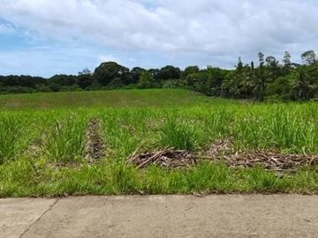 LOT FOR LEASE / SALE Victorias City Negros Occidental Phillipines