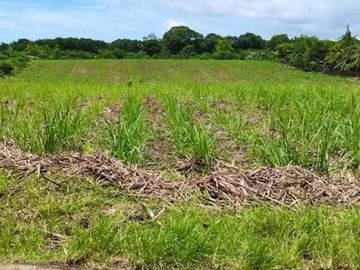 LOT FOR LEASE / SALE Victorias City Negros Occidental Phillipines
