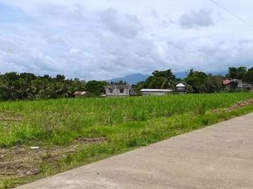 LOT FOR LEASE / SALE Victorias City Negros Occidental Phillipines