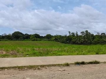 LOT FOR LEASE / SALE Victorias City Negros Occidental Phillipines