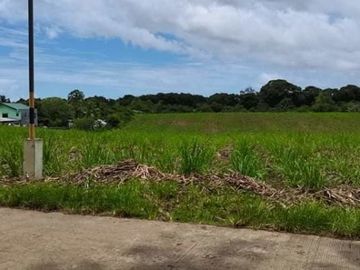LOT FOR LEASE / SALE Victorias City Negros Occidental Phillipines