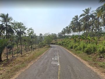 Jual Tanah Perkebunan 5000 Hektar Di Agrabinta Cianjur