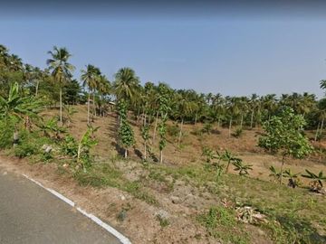 Jual Tanah Perkebunan 5000 Hektar Di Agrabinta Cianjur