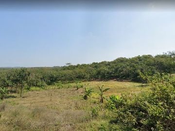 Jual Tanah Perkebunan 5000 Hektar Di Agrabinta Cianjur