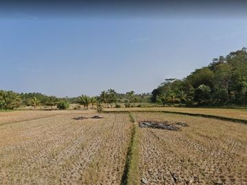 Jual Tanah Perkebunan 5000 Hektar Di Agrabinta Cianjur