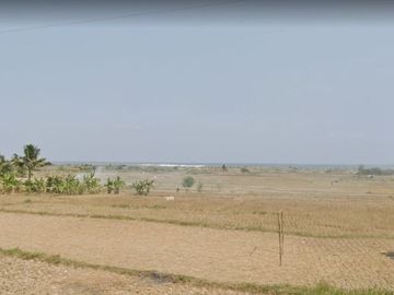 Jual Tanah Perkebunan 5000 Hektar Di Agrabinta Cianjur