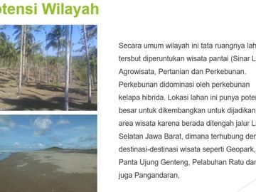 Jual Tanah Perkebunan 5000 Hektar Di Agrabinta Cianjur