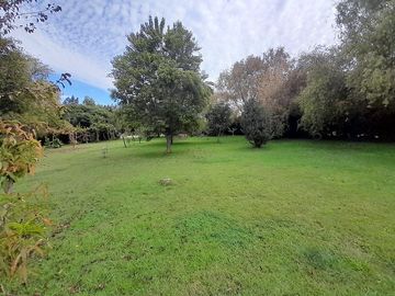 LONQUEN COSTADO COLEGIO SAN FELIPE DIACONO