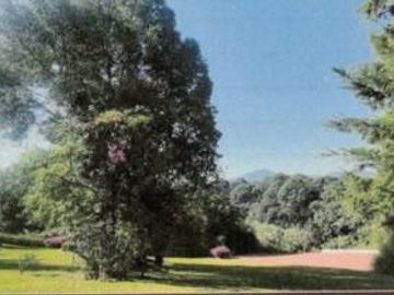 Terreno - Valle de Bravo