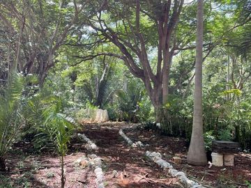 Terreno en Venta, Finca  Tecoh, a 1km de Itzincab de Cámara. Yucatán.