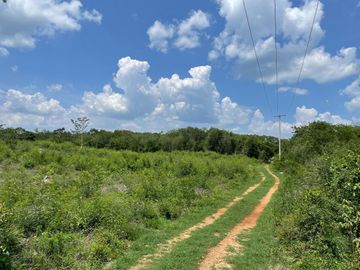 Terreno en Venta, Finca  Tecoh, a 1km de Itzincab de Cámara. Yucatán.