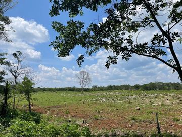 Terreno en Venta, Finca  Tecoh, a 1km de Itzincab de Cámara. Yucatán.