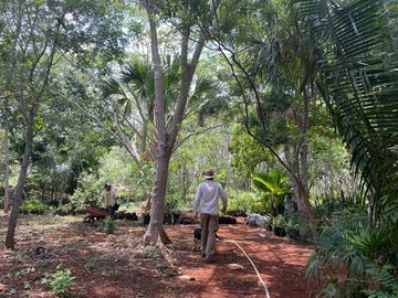 Terreno en Venta, Finca  Tecoh, a 1km de Itzincab de Cámara. Yucatán.