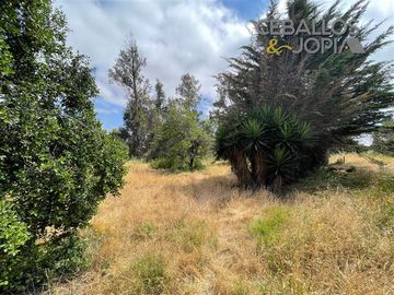 Parcela en venta en Villa Alemana
