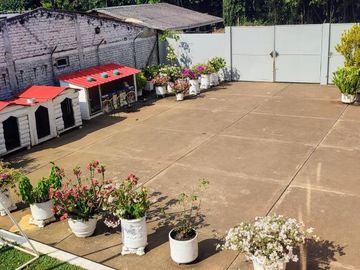 finca en venta en el palmar. Cod V16173