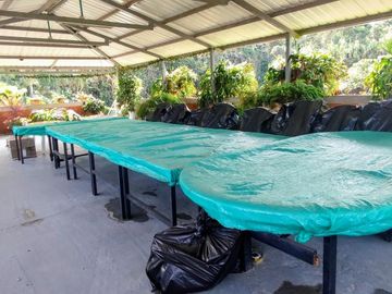 finca en venta en el palmar. Cod V16173