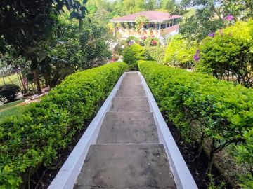 finca en venta en el palmar. Cod V16173